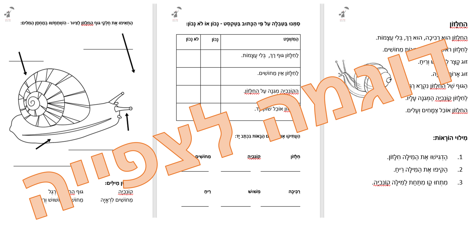 באנדל סתיו ועליות - במבצע! – תמונה 7