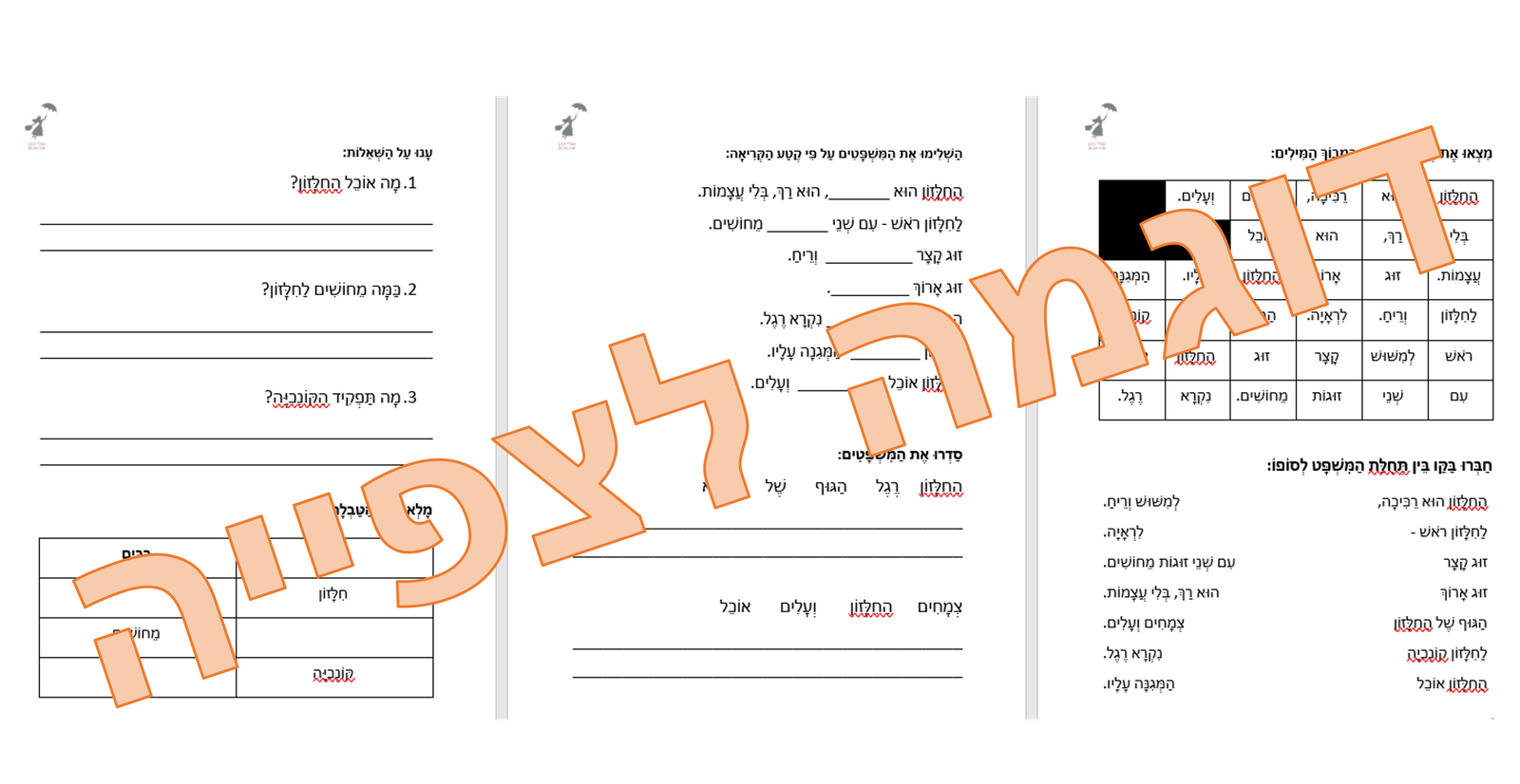 באנדל סתיו ועליות - במבצע! – תמונה 6
