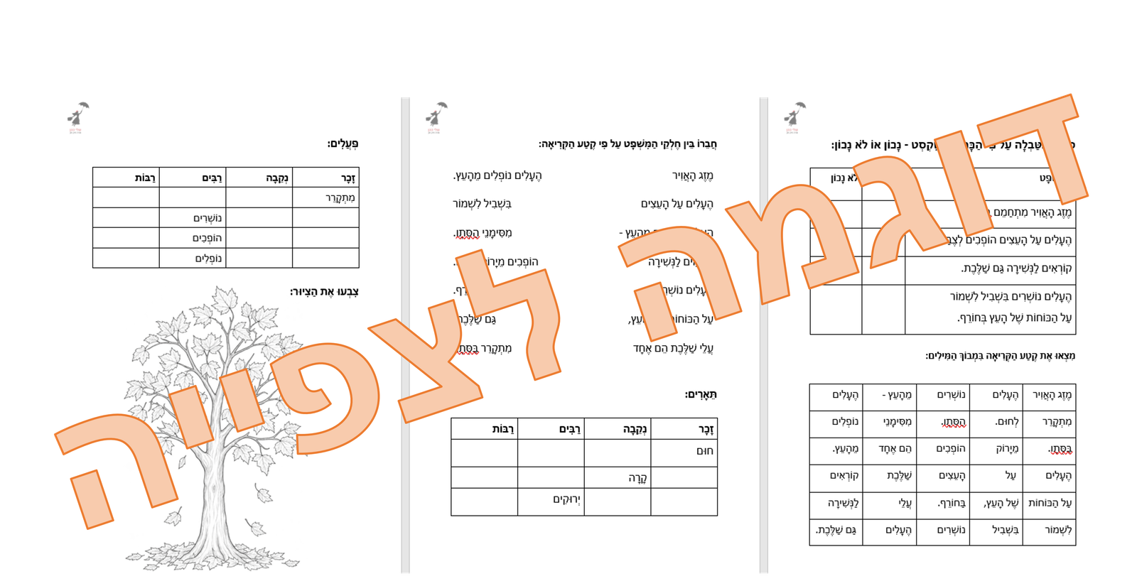 באנדל סתיו ועליות - במבצע! – תמונה 11