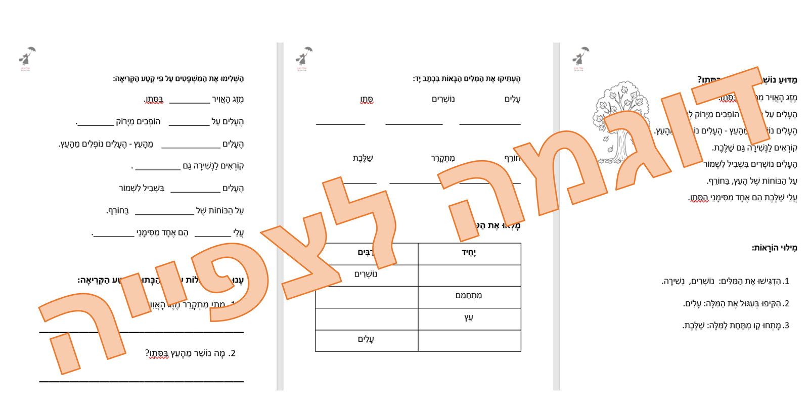 באנדל סתיו ועליות - במבצע! – תמונה 10