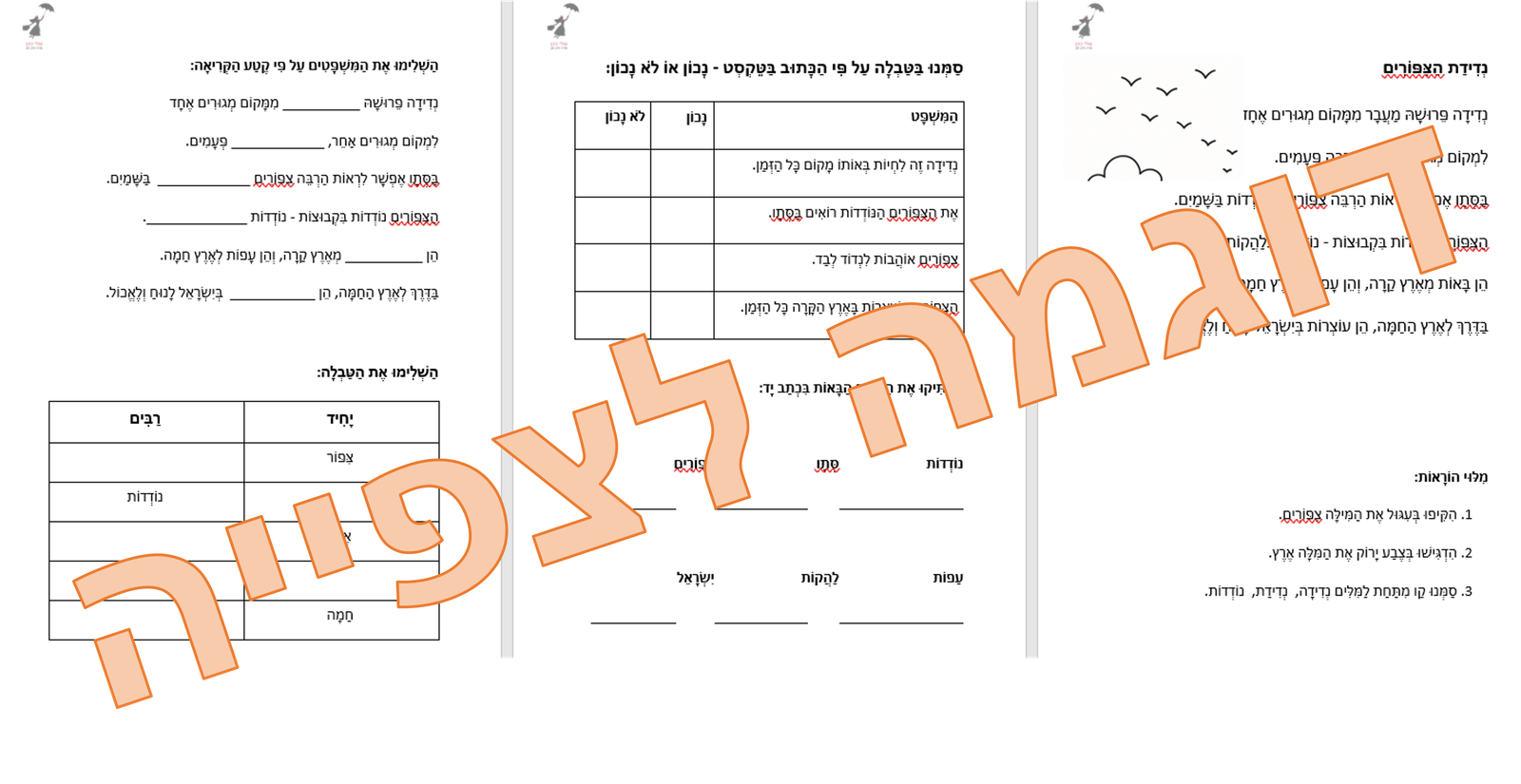 באנדל סתיו ועליות - במבצע! – תמונה 5