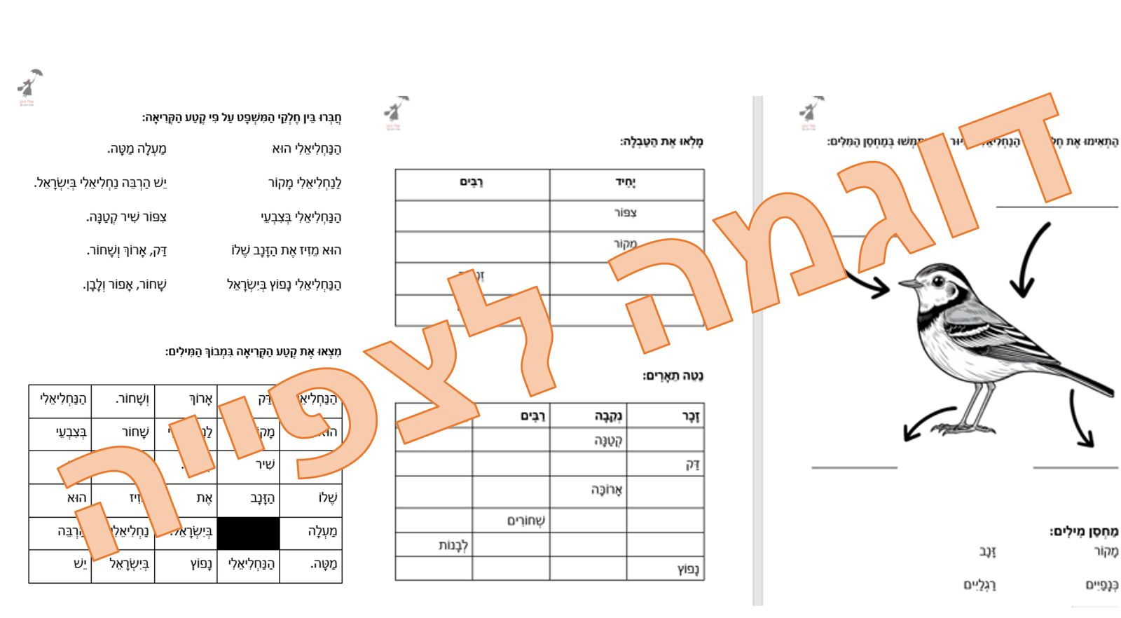 באנדל סתיו ועליות - במבצע! – תמונה 9