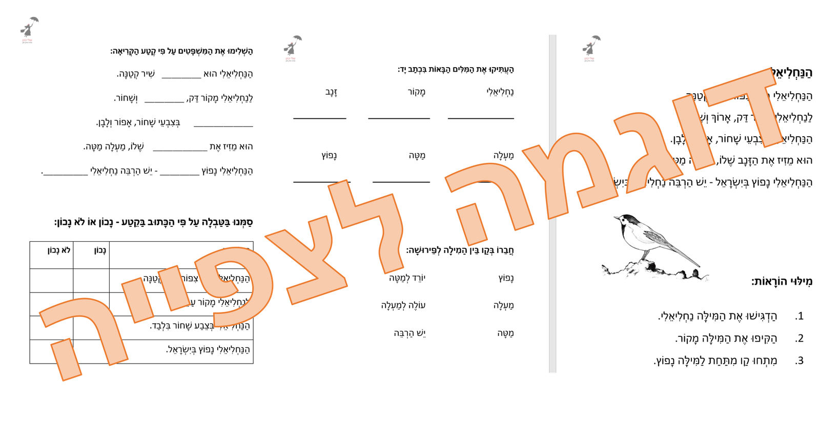 באנדל סתיו ועליות - במבצע! – תמונה 8